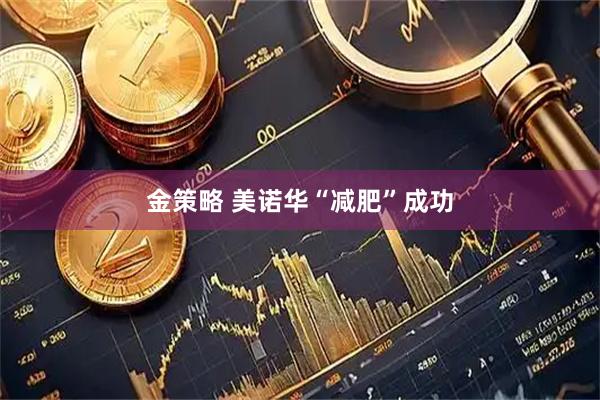 金策略 美诺华“减肥”成功